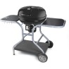 Barbecue au charbon de bois - Fieldmann - FZG 1014