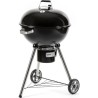 Barbecue au charbon de bois - Fieldmann - FZG 1016