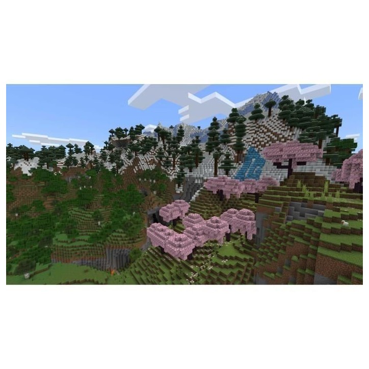 Minecraft - Jeu PS5