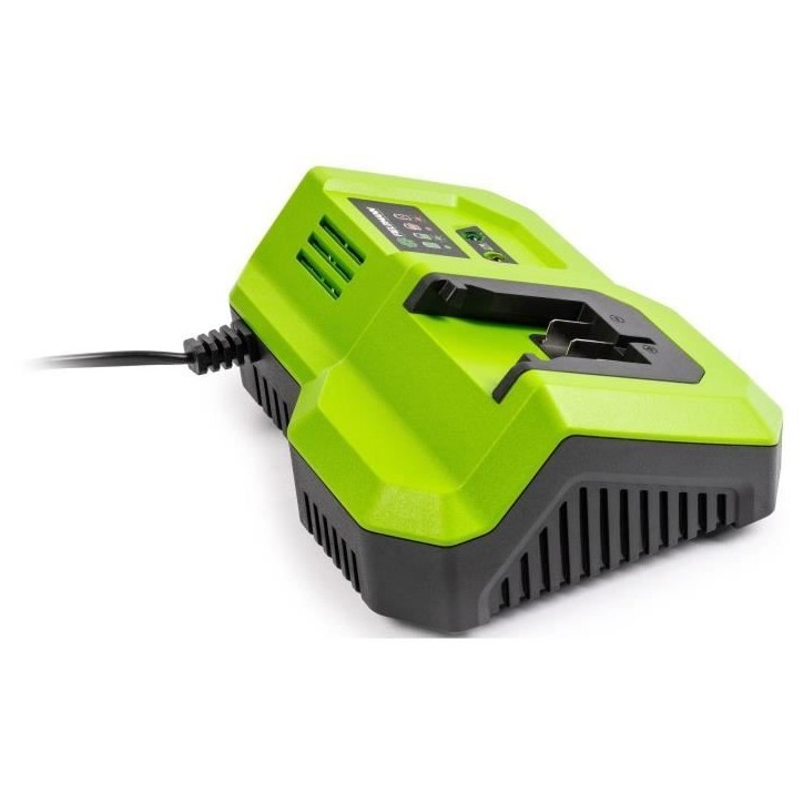 Chargeur rapide - FIELDMANN - Pour batterie 20V - Charge 2Ah en 30 min - Compatible 2Ah, 4Ah, 8Ah Chargeur rapide - FIELDMANN - Pour batterie 20V - Charge 2Ah en 30 min - Compatible 2Ah, 4Ah, 8Ah