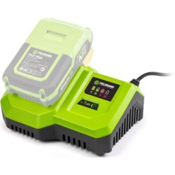 Chargeur rapide - FIELDMANN - Pour batterie 20V - Charge 2Ah en 30 min