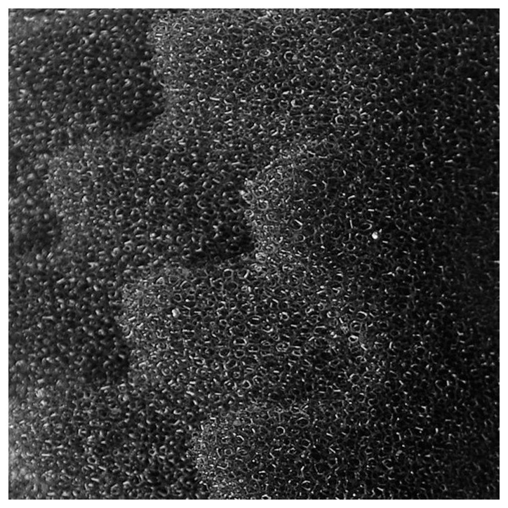 Bloc de mousses bio FLUVAL pour aquarium - 306 406 - Filtration bio et mécanique