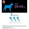 Frontline Spot On chien - Anti-puces anti-tiques pour chien L - 20-40k