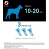 Frontline Spot On chien - Anti-puces anti-tiques pour chien M - 10-20k