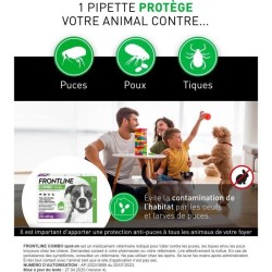 Frontline Combo chien - Anti-puces anti-tiques pour chien L - 20-40kg