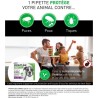 Frontline Combo chien - Anti-puces anti-tiques pour chien L - 20-40kg