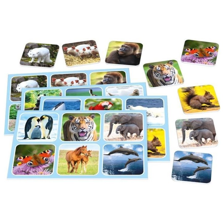 Zoo Lotto - Jeux de Société - SCHMIDT SPIELE - Amusez-vous en famille avec ce jeu de loto passionnant ! Zoo Lotto - Jeux de Société - SCHMIDT SPIELE - Amusez-vous en famille avec ce jeu de loto passionnant !