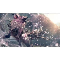 Wild Hearts S - Jeu Nintendo Switch 2