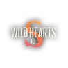 Wild Hearts S - Jeu Nintendo Switch 2