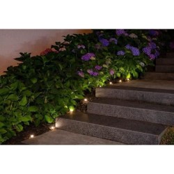 Guirlande solaire a planter 10 LED blanches - GALIX - 5m - 0,5W - 100