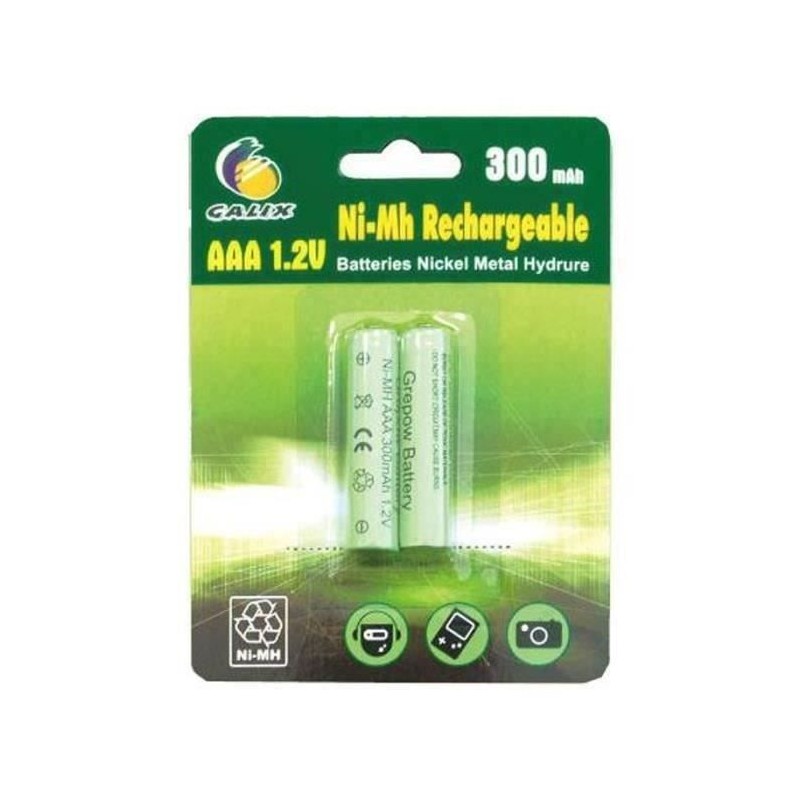 GALIX Lot de 2 piles rechargeables LR03/AAA - Ni-Mh - 1,2 Volts - 300