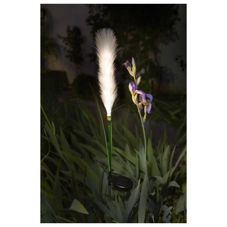Décoration lumineuse - GALIX - G4515 - Energie solaire : Plumeau Décoration lumineuse - GALIX - G4515 - Energie solaire : Plumeau