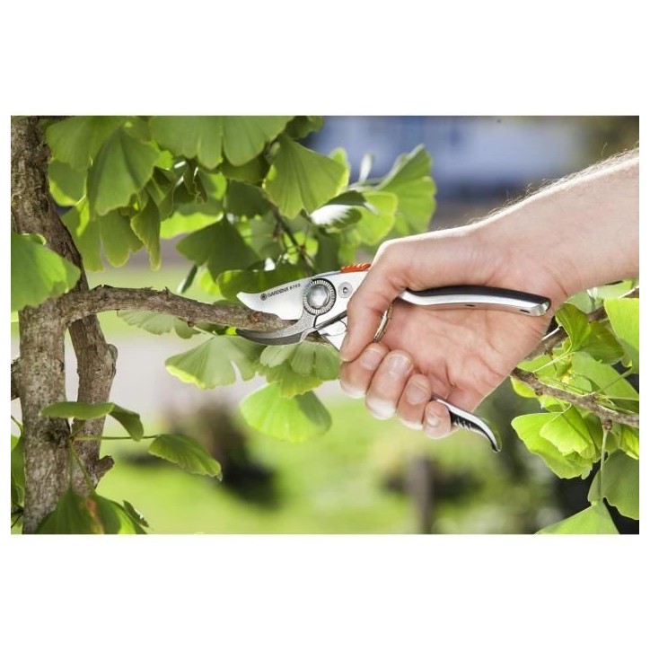 Sécateur GARDENA BP 50 Premium - Ø24mm max - Lames franches acier inox - Poignée ergonomique - Garantie 25 ans Sécateur GARDENA BP 50 Premium - Ø24mm max - Lames franches acier inox - Poignée ergonomique - Garantie 25 ans