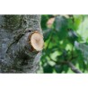 GARDENA Coupe-branches a enclume SmartCut Comfort – Lame enclume aut GARDENA Coupe-branches a enclume SmartCut Comfort – Lame enclume aut