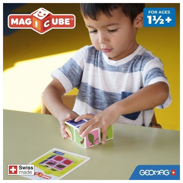 MAGICUBE Fruits (4 Cubes)