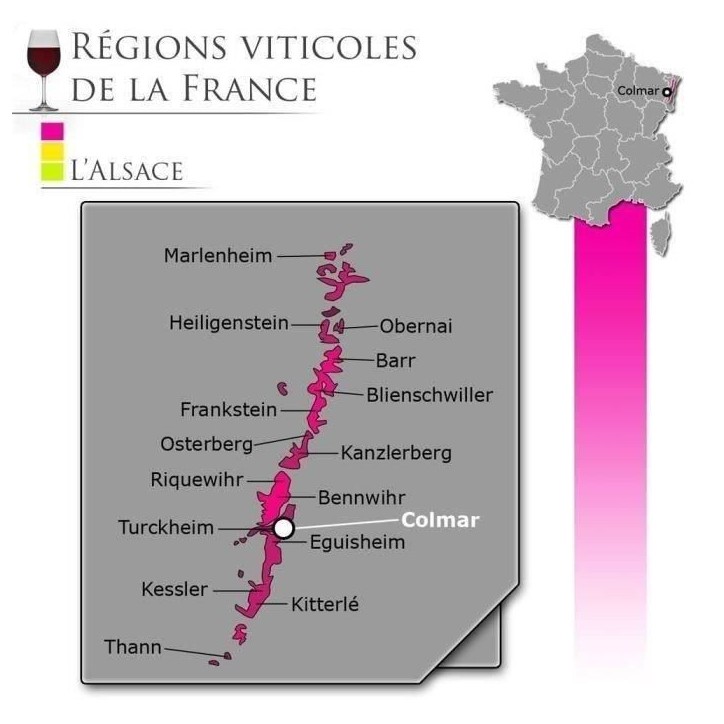 Gisselbrecht 2020 Pinot Gris Grand Cru Frankstein - Vin blanc d'Alsace