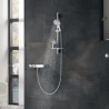Flexible de douche - GROHE - 22100000 - 1,75 m - VitalioFlex - Métal