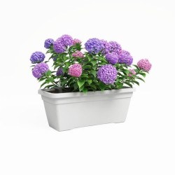 ARTEVASI Jardiniere VENEZIA L SWS - 60 ma - Blanc - 57,5 x 24,5 x 22,5