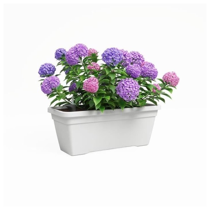 ARTEVASI Jardiniere VENEZIA L SWS - 60 ma - Blanc - 57,5 x 24,5 x 22,5 cm ARTEVASI Jardiniere VENEZIA L SWS - 60 ma - Blanc - 57,5 x 24,5 x 22,5 cm
