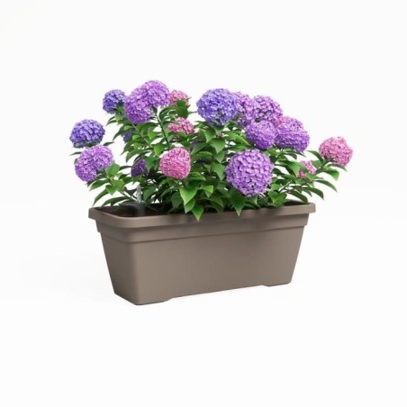 ARTEVASI Jardiniere VENEZIA L SWS - 60 ma - Taupe - 57,5 x 24,5 x 22,5 cm
