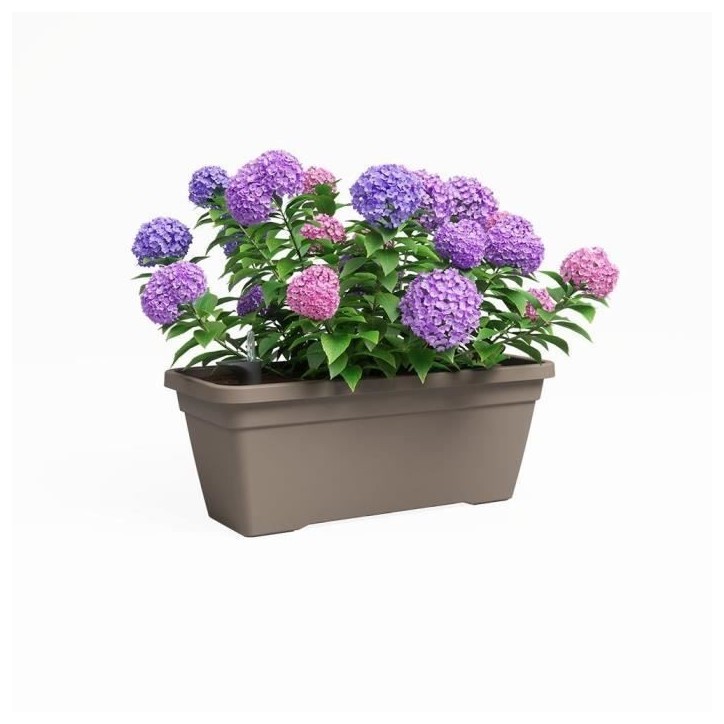 ARTEVASI Jardiniere VENEZIA L SWS - 60 ma - Taupe - 57,5 x 24,5 x 22,5 cm