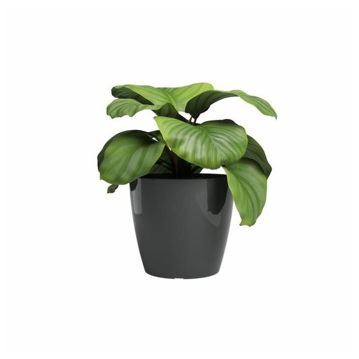 ARTEVASI Pot de fleur SAN REMO - 30 br - Anthracite - 30x30x27,3 cm ARTEVASI Pot de fleur SAN REMO - 30 br - Anthracite - 30x30x27,3 cm