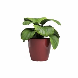 ARTEVASI Pot de fleur SAN REMO - 42 br - Rouge foncé - L42 x P42 x H3