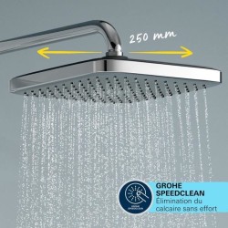 Colonne de douche avec inverseur manuel - Economie d'eau - GROHE Vital