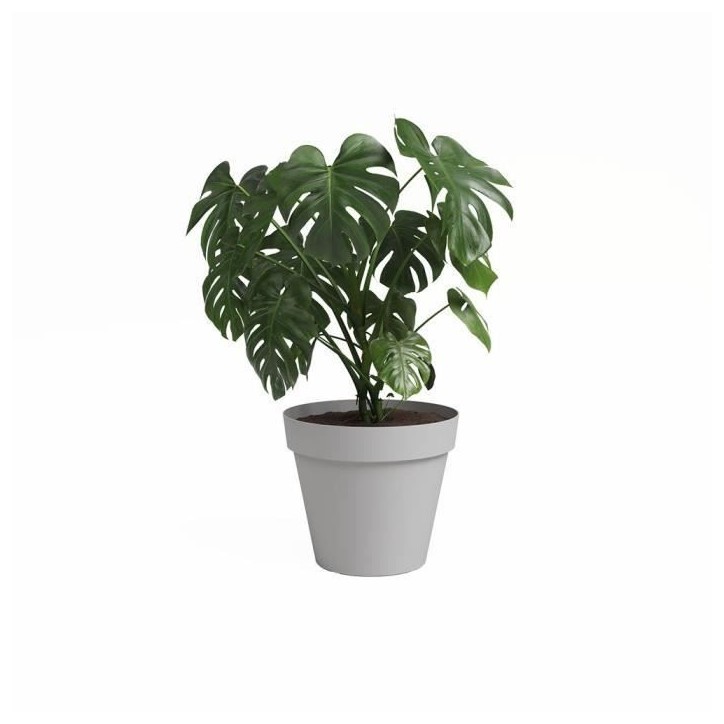 ARTEVASI Pot de fleur CAPRI - 40 ma - Gris clair - L40 x P40 x H34,7 cm ARTEVASI Pot de fleur CAPRI - 40 ma - Gris clair - L40 x P40 x H34,7 cm