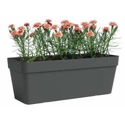 ARTEVASI Jardiniere - Plastique - Anthracite - Rectangulaire - L49,9 x