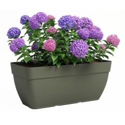ARTEVASI Jardiniere - Plastique - Vert sec - Rectangulaire - L57,9 x P