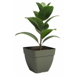 ARTEVASI Pot de fleur CAPRI CAMPANA - Carrée - Vert sec - L36,5 x P36