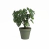 ARTEVASI Pot de fleur CAPRI - 40 ma - Vert cendré - L40 x P40 x H34,7