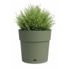 ARTEVASI Pot de fleur CAPRI - Large - Réserve d'eau - Vert Cendre - L