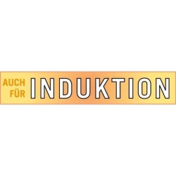 Friteuse - GSW - 488204 - Induction - 22 cm - Couvercle en verre - Aci