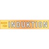 Friteuse - GSW - 488204 - Induction - 22 cm - Couvercle en verre - Aci
