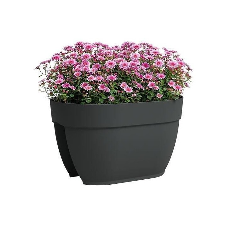 ARTEVASI Jardiniere balcon CAPRI CAMPANA - 40 ma - Anthracite - 39 x 25,6 x 22,5 cm ARTEVASI Jardiniere balcon CAPRI CAMPANA - 40 ma - Anthracite - 39 x 25,6 x 22,5 cm