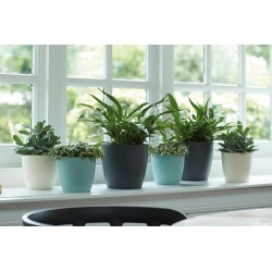 ELHO Lot de 2 pots de fleur rond Brussels - 17 L - Ø 25,1 x H 23.2