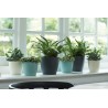 ELHO Lot de 2 pots de fleur rond Brussels - 17 L - Ø 25,1 x H 23.2
