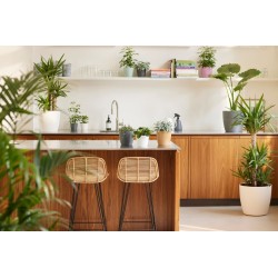 ELHO Lot de 2 pots de fleur rond Brussels - 17 L - Ø 25,1 x H 23.2
