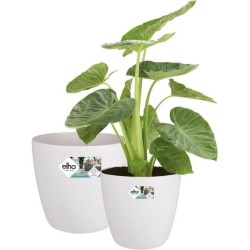 ELHO Lot de 2 pots de fleur rond a roulettes Brussels - Ø35 x H33 c