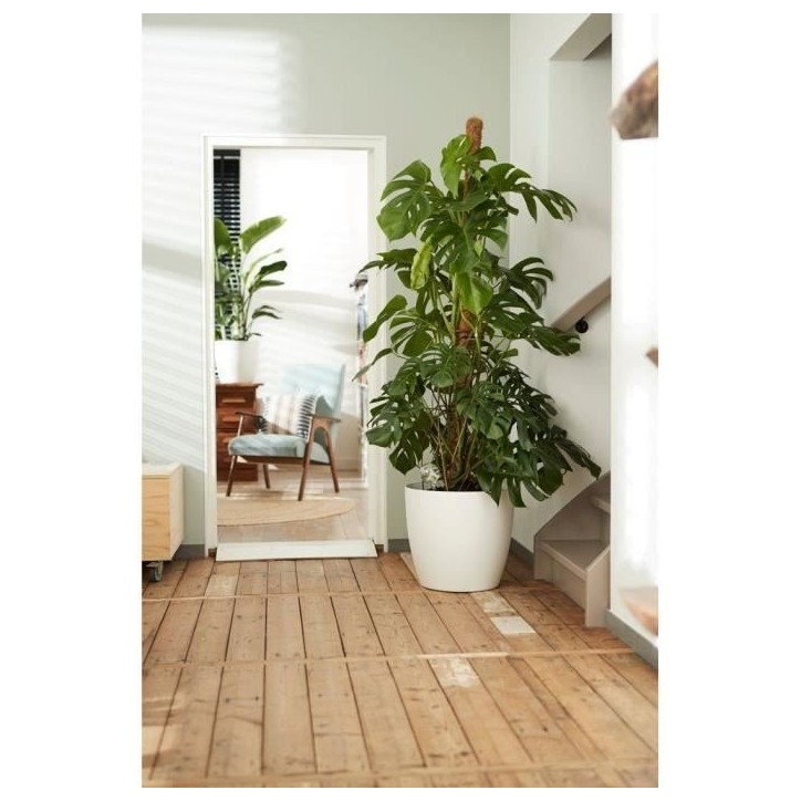 ELHO Lot de 2 pots de fleur rond a roulettes Brussels - Ø35 x H33 cm et Ø39 x H36,5 cm - 55 L - Blanc ELHO Lot de 2 pots de fleur rond a roulettes Brussels - Ø35 x H33 cm et Ø39 x H36,5 cm - 55 L - Blanc