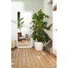 ELHO Lot de 2 pots de fleur rond a roulettes Brussels - Ø35 x H33 c