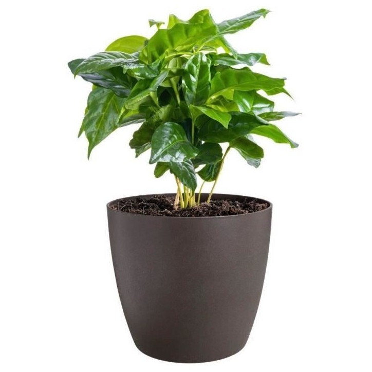 ELHO Lot de 3 pots de fleur rond The Coffee Collection - Ø14xH12,6cm, Ø16xH14,7cm, Ø18xH16,8 cm - 7 L - Marron