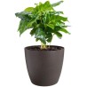ELHO Lot de 3 pots de fleur rond The Coffee Collection - Ø14xH12,6