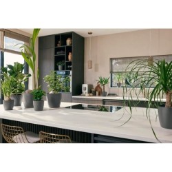 ELHO Lot de 3 pots de fleur rond The Coffee Collection - Ø14xH12,6