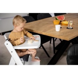 Chaise haute - HAUCK - BETA+ - Evolutive - De 6 mois a 90 kg - Bois FS
