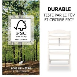 Chaise haute - HAUCK - BETA+ - Evolutive - De 6 mois a 90 kg - Bois FS