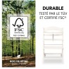 Chaise haute - HAUCK - BETA+ - Evolutive - De 6 mois a 90 kg - Bois FS