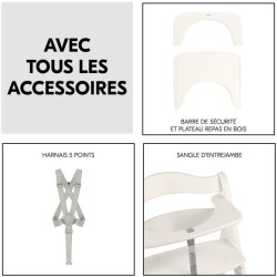Chaise haute - HAUCK - BETA+ - Evolutive - De 6 mois a 90 kg - Bois FS